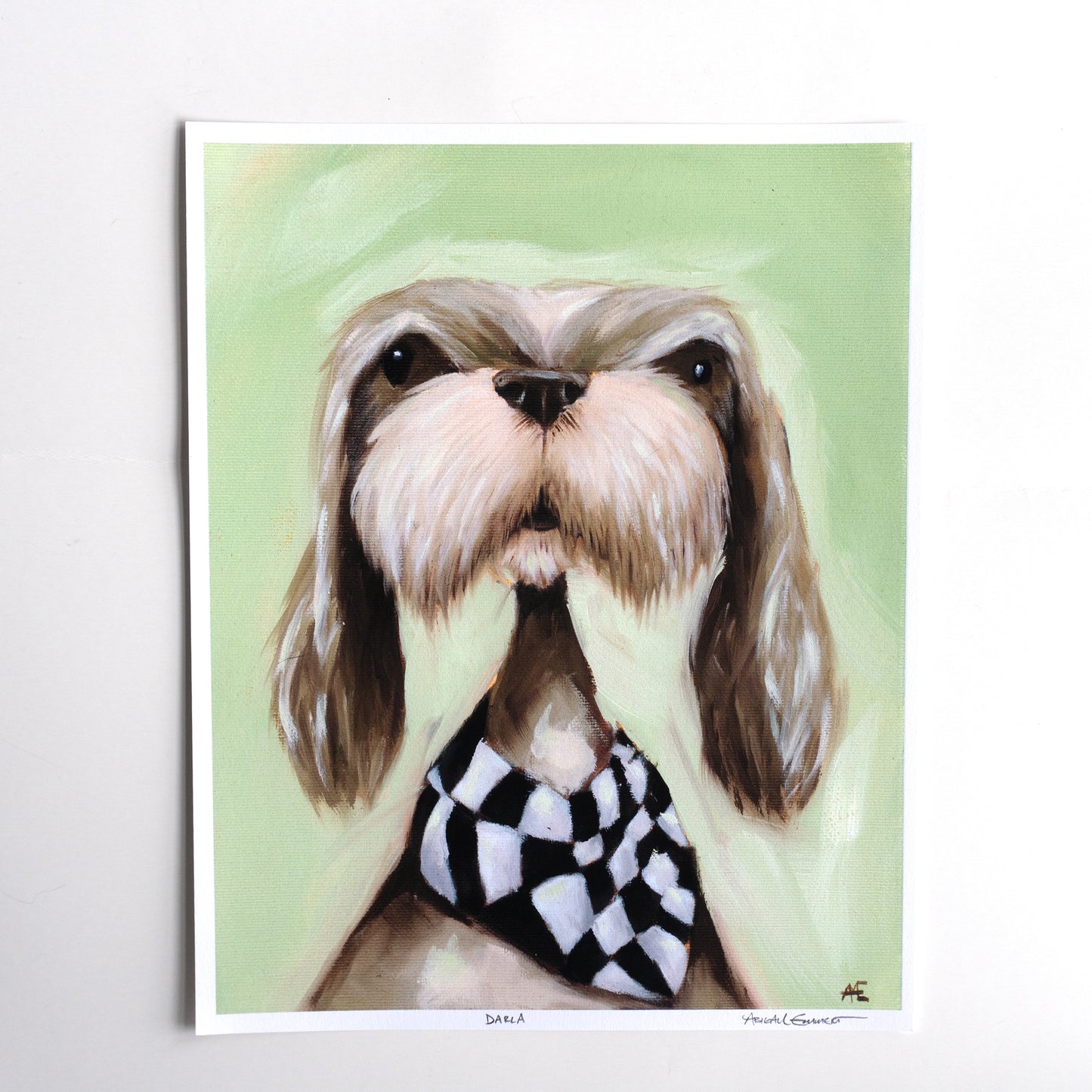 Darla the Shih Tzu | Art Print