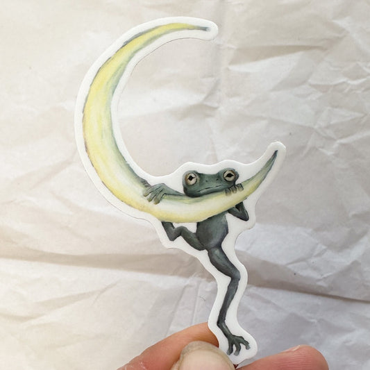 green tree frog hanging from a crescent moon with a look on his face that says "oh no, what have I gotten myself into?"