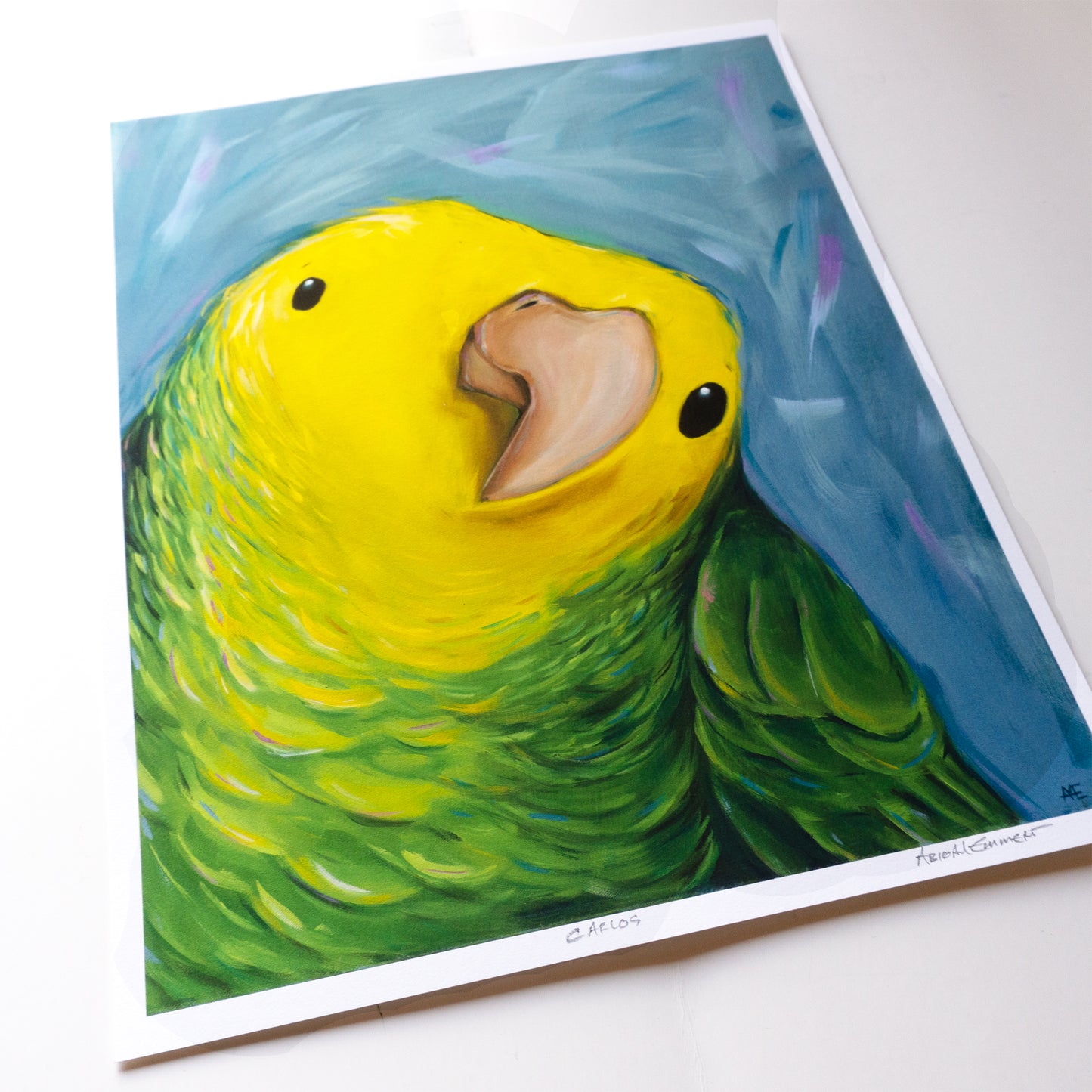 Carlos the parrot | Art Print