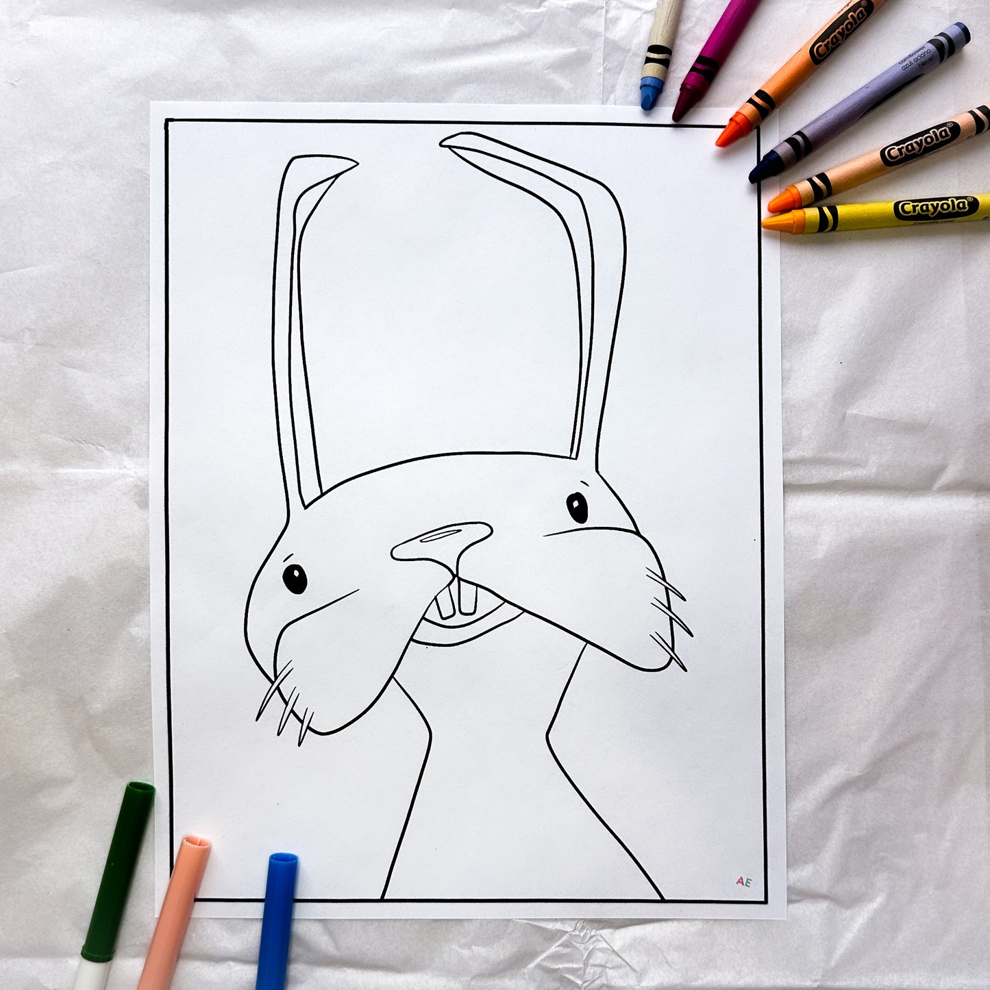 Bunny Coloring Book
