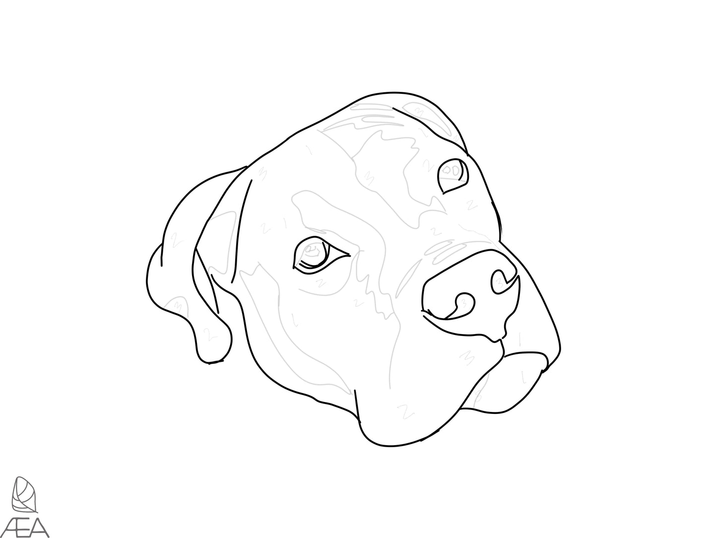 Color A Pet