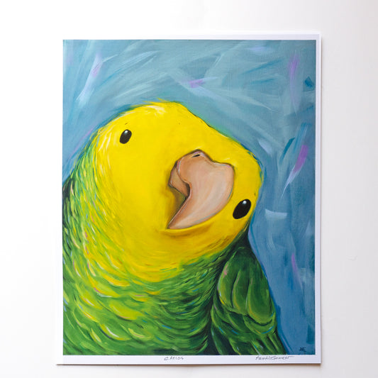 Carlos the parrot | Art Print