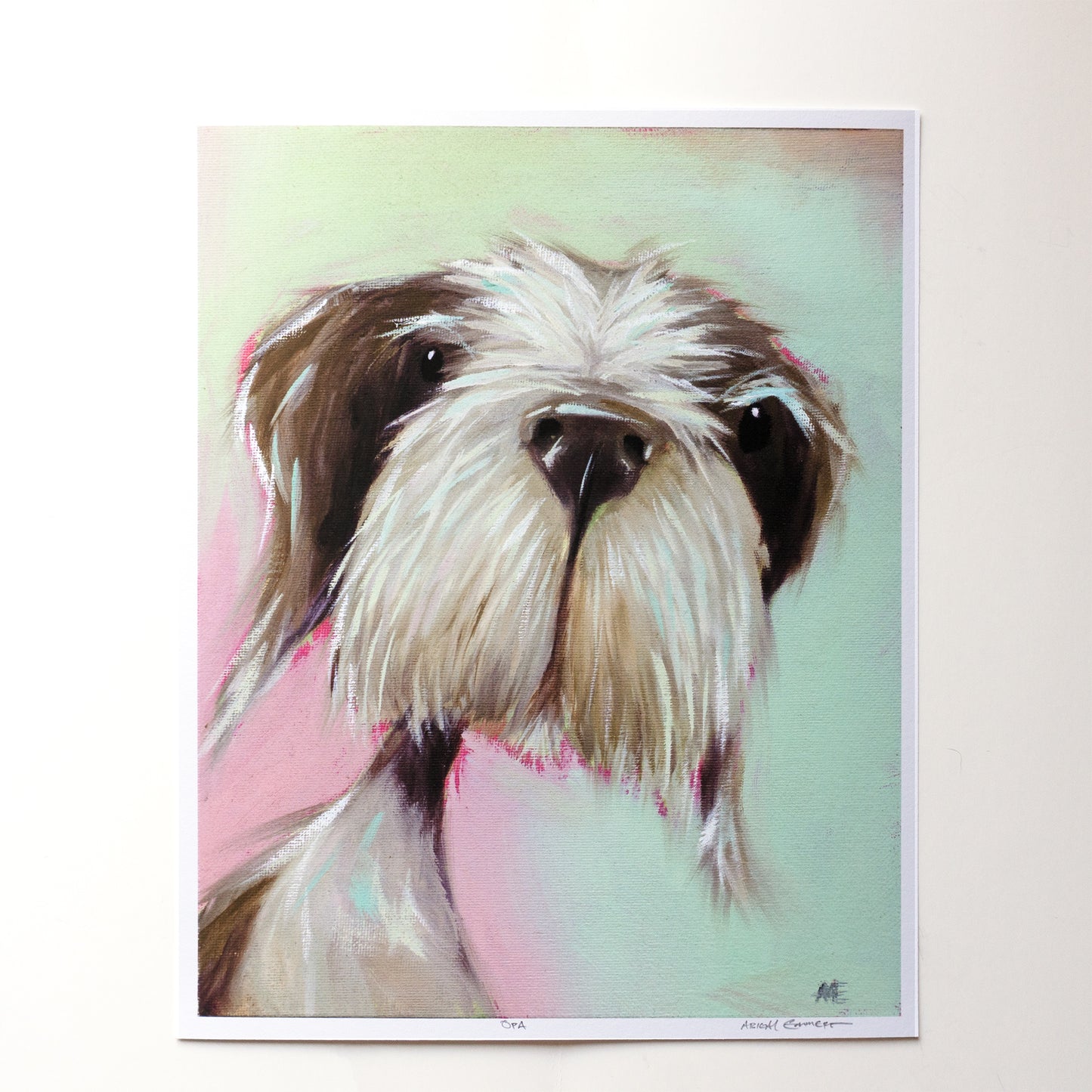 Opa the Italian Spinone | Art Print