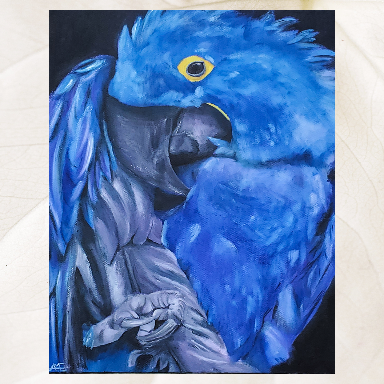 hyacinth macaw oil painting on canvas.
