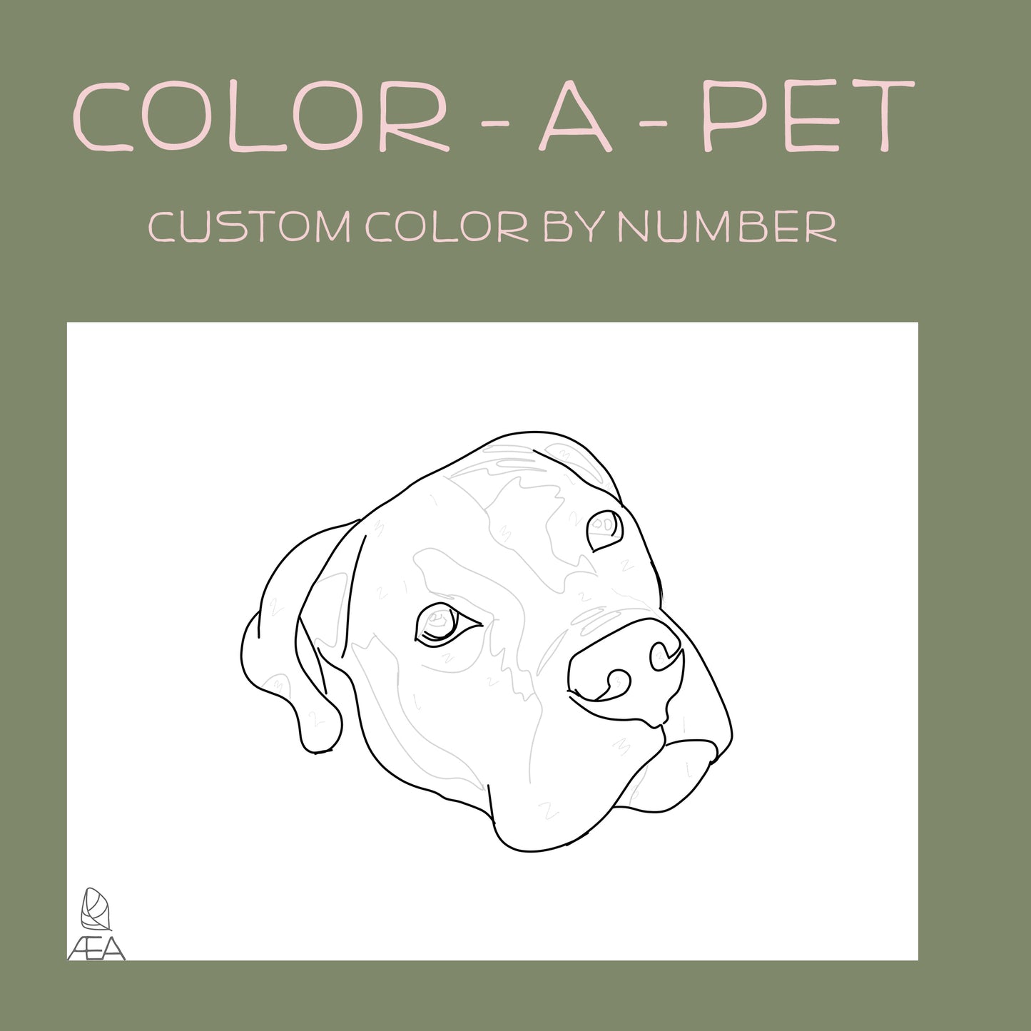 Color A Pet