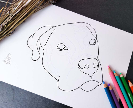 A dark  outline of a dogs head with smaller, lighter, lines within it to show the values. 