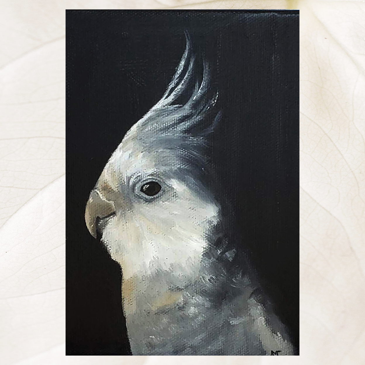 white faced grey cockatiel oil painting on canvas