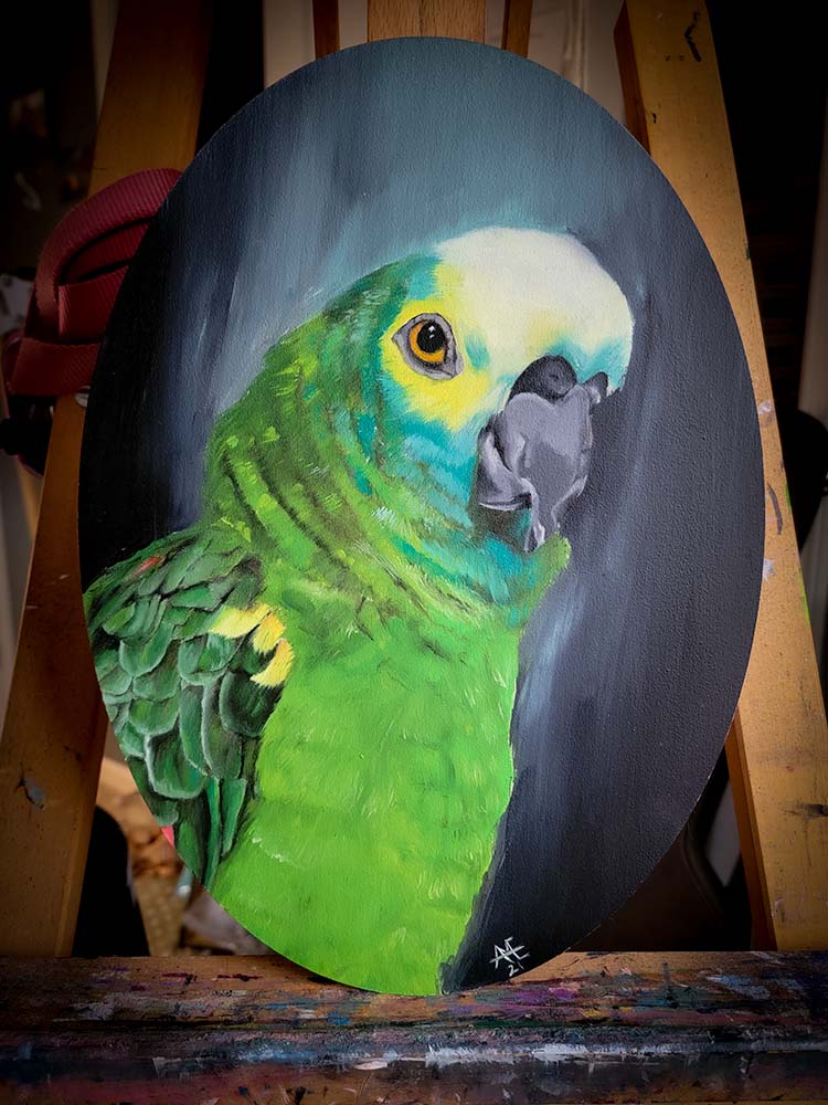 yellow headed amazon parrot oil painting on an ellipse wood panel with a dark background
